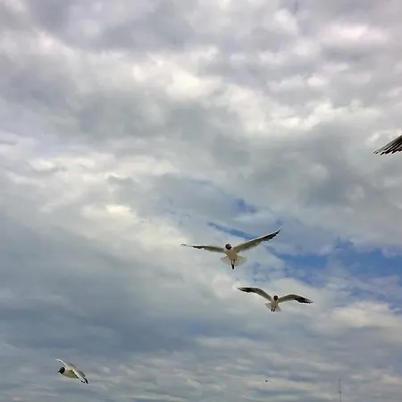 Ostsee Dierhagen-strand Διαμέρισμα Dierhagen